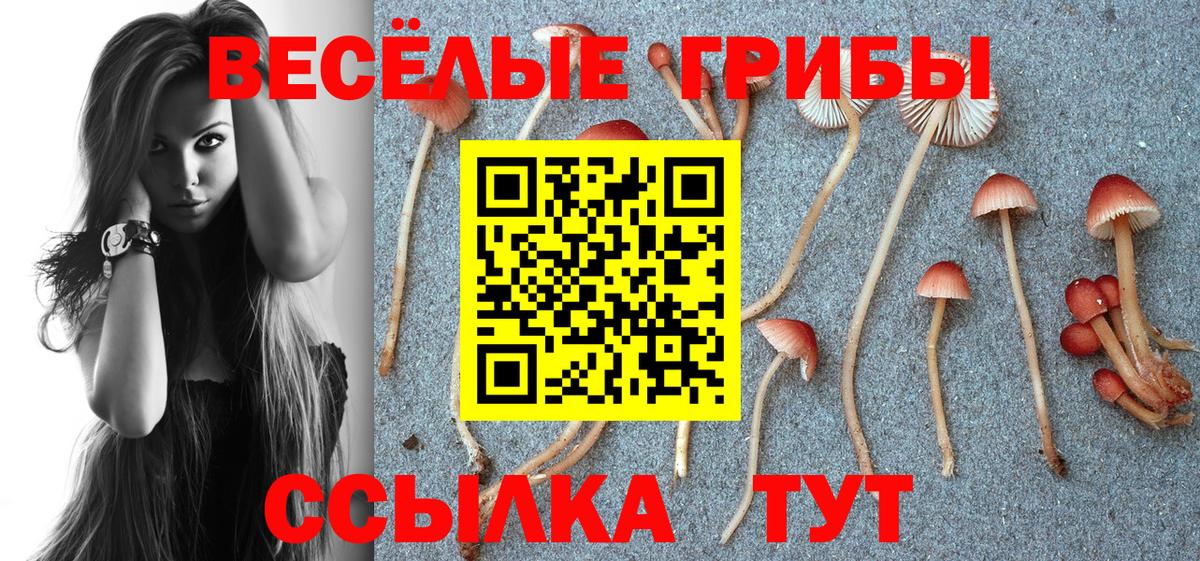 Псилоцибиновые грибы мухоморы Калач-на-Дону
