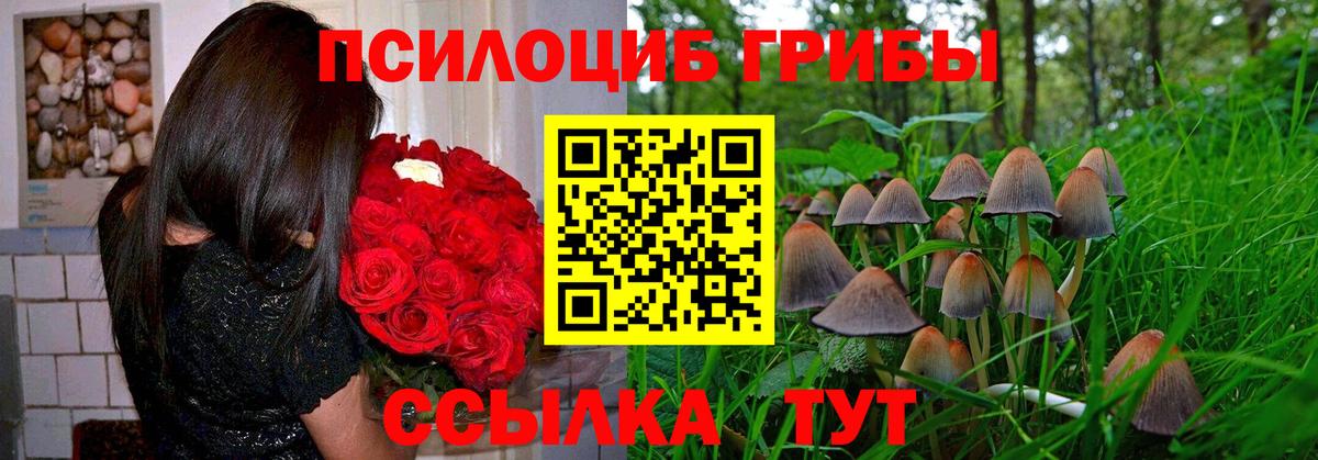 Калач-на-Дону  Галлюциногенные грибы GOLDEN TEACHER  Псилоцибиновые грибы Magic Shrooms  Вход с VPN 
